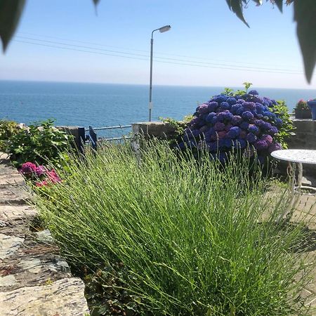 Slieve Donard Cottage Newcastle  Buitenkant foto